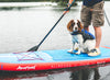 A Complete Guide To Paddle Boarding With Dogs